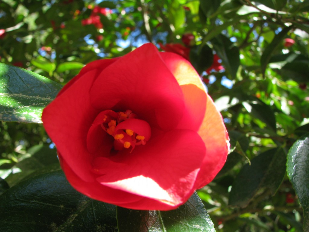 img_7809 Such a photogenic city.